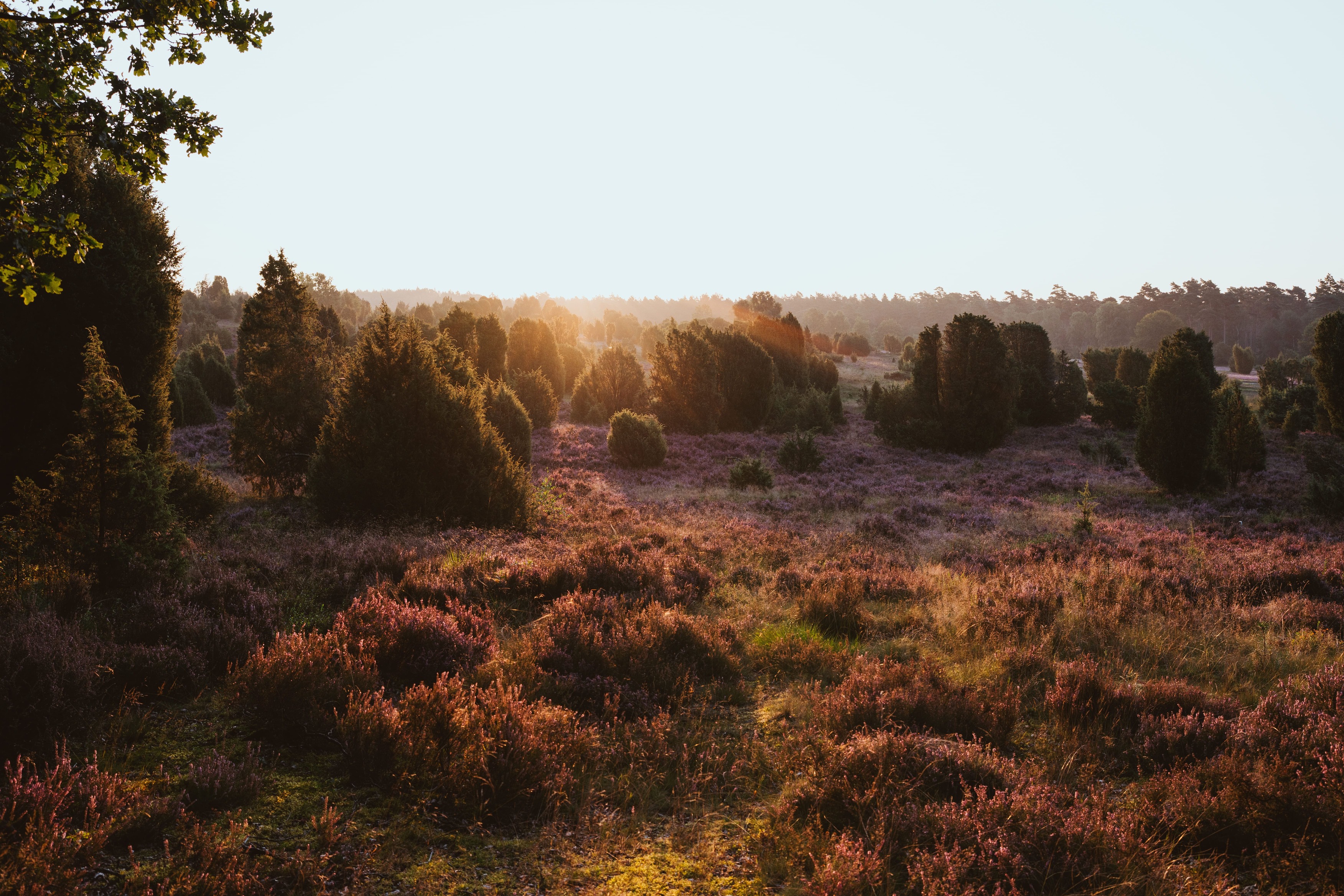 Landscape Photo 21